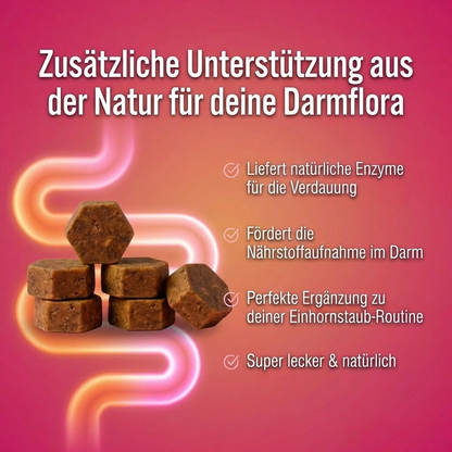 Einhornstaub Bienenbrot │ Zusätzliche Unterstützung für Darm & Wohlbefinden